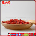 Bayas de goji congeladas que plantan extracto de fruta de goji berry lycium barbarum